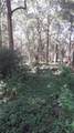 5314 Cucumber Street - Photo 2