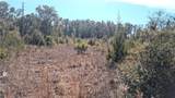 13550 Old Fannin Road - Photo 11