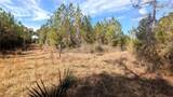 13550 Old Fannin Road - Photo 13