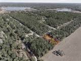 24456 Tiger Lake Boulevard - Photo 10