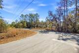 24456 Tiger Lake Boulevard - Photo 11