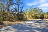24456 Tiger Lake Boulevard - Photo 12