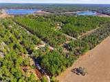 24456 Tiger Lake Boulevard - Photo 9
