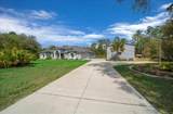 11667 Bluebell Drive - Photo 12