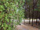 421 Margaret Street - Photo 32