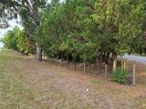 421 Margaret Street - Photo 77