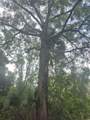  Se 80Th Street Street - Photo 8