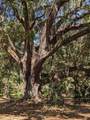 00 60TH Avenue - Photo 7