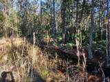 154 James Place - Photo 6