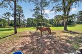 11050 37TH AVENUE Road - Photo 75