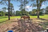 11050 37TH AVENUE Road - Photo 76