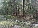 10049 Biscayne Drive - Photo 1