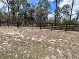 4295 Bridger Drive - Photo 56