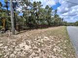 4295 Bridger Drive - Photo 57