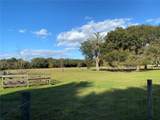 10312 County Road 209 - Photo 60