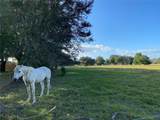 10312 County Road 209 - Photo 70