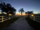 664 Lake Starr Boulevard - Photo 2