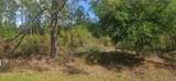 408 Pandora Drive - Photo 2
