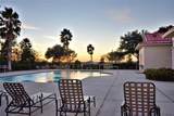 203 Spring Azure Drive - Photo 94