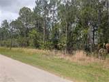 25 Amaryllis Drive - Photo 10
