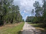25 Amaryllis Drive - Photo 13