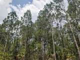 25 Amaryllis Drive - Photo 14