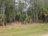 25 Amaryllis Drive - Photo 5