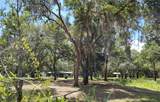 12627 Blackberry Lane - Photo 4