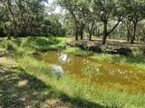 12627 Blackberry Lane - Photo 40