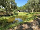 12627 Blackberry Lane - Photo 41