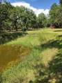 12627 Blackberry Lane - Photo 42