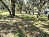 12627 Blackberry Lane - Photo 45