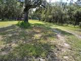 12627 Blackberry Lane - Photo 46