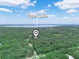 12627 Blackberry Lane - Photo 53