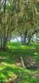  Beach Parkway - Photo 5
