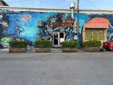 #45 Playa de Ponce Salmon St - Photo 7