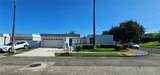 253 Calle Bauhinia - Photo 1