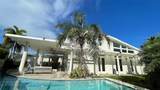 117 Washingtonia - Photo 1