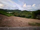 164 St. km 4.4 Bo. Nuevo - Photo 3
