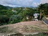 164 St. km 4.4 Bo. Nuevo - Photo 5