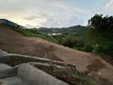 164 St. km 4.4 Bo. Nuevo - Photo 6
