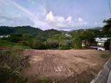 164 St. km 4.4 Bo. Nuevo - Photo 8