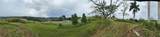  Route 159 - Photo 4