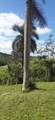 Route 159 - Photo 75