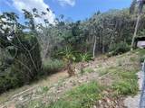 Carr 925 KM 4.9 Bo. Junquito - Photo 17