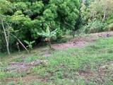 0 Bo Cruces, Carr. 115 Ramal 4414 Km Hm 2.5 Road - Photo 7