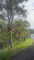 0 Bo Cruces, Carr. 115 Ramal 4414 Km Hm 2.5 Road - Photo 9