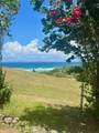 Calle 21, Lote 755, Barrio Santa Maria, Villa Borinquen - Photo 22