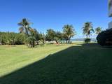 7W Condominio Isleta Marina - Photo 18
