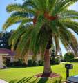 1608 Bob O Link Drive - Photo 12